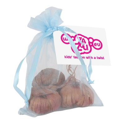 Image of Tulips in a organza bag